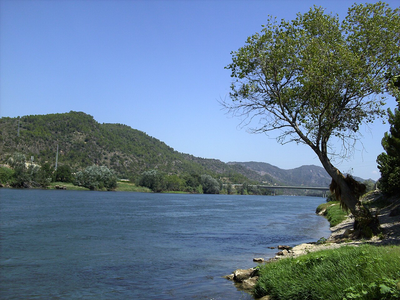Paisatge de Baix Ebre · Catalunya riu ebre benifallet