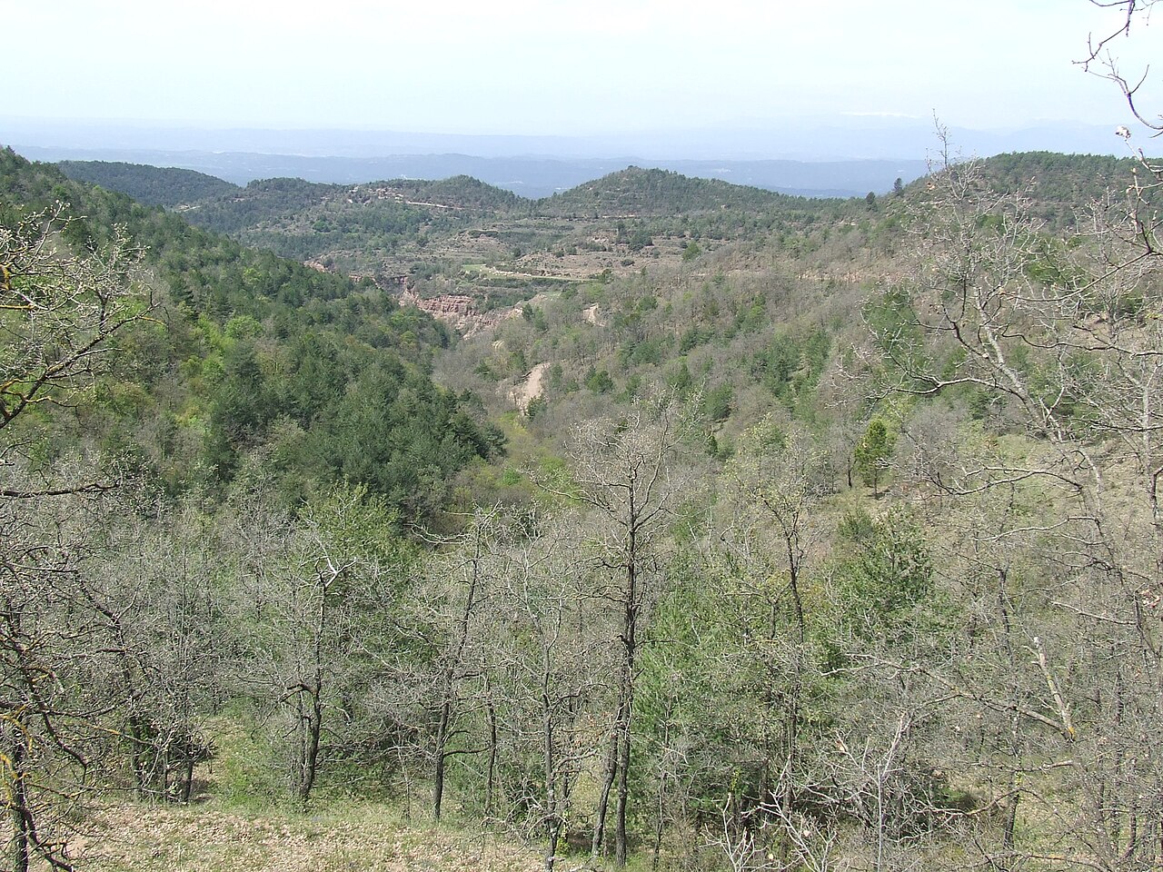 Paisatge de Moianès · L'Estany. Vall del torrent del Gomis 2